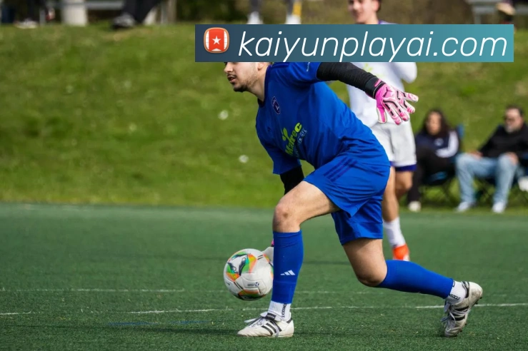 开云娱乐全站App